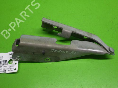 Used Hinge/Door check strap CITROËN C3 I (FC_, FN_) 1.4 HDi (68 hp) 14733547