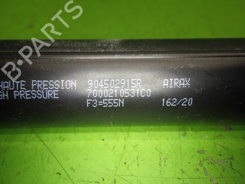 Tailgate lift support RENAULT ZOE (BFM_) ZOE (BFMC, BFMD) | BP29046440C138 