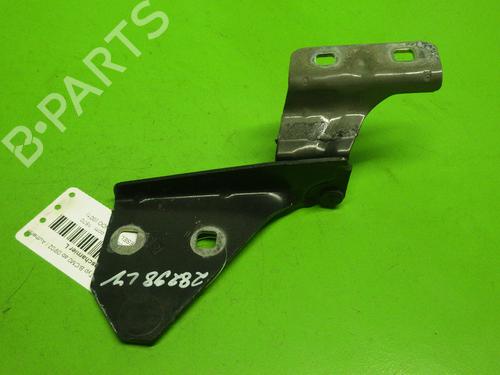 Hinge/Door check strap RENAULT MEGANE II (BM0/1_, CM0/1_) 1.9 dCi (BM0G, CM0G) | BP14733112C146