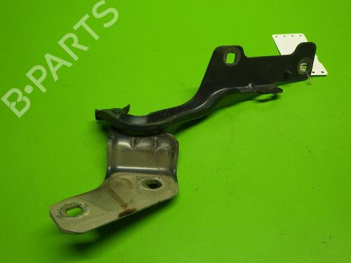 Hinge/Door check strap RENAULT CLIO III (BR0/1, CR0/1) 1.5 dCi (BR1C, CR1C) | BP14730450C146 