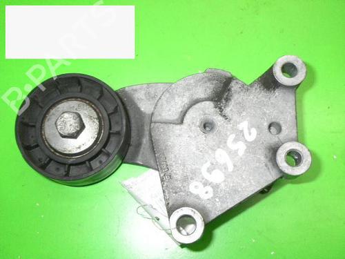 Used Pulley PEUGEOT 206+ (2L_, 2M_) 1.4 HDi eco 70 (68 hp) 14709143