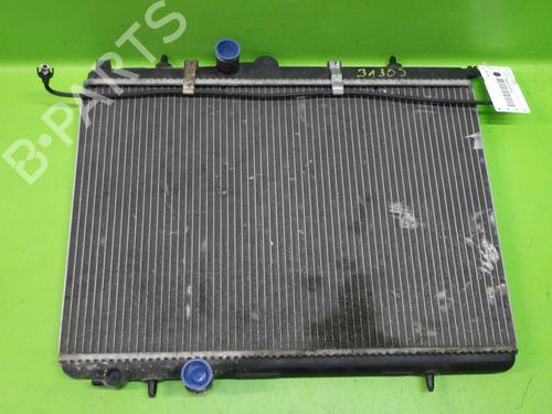 Køler PEUGEOT 206 Hatchback (2A/C) 1.4 HDi eco 70 (68 hp) 12846994