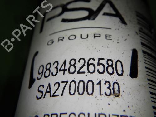 Venstre bagtil støddæmper OPEL CORSA F (P2JO) CORSA-e (68) | BP25730801M18 