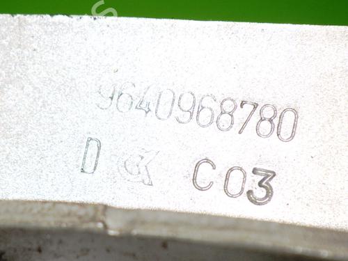 Hinge/Door check strap PEUGEOT 407 SW (6E_, 6D_) 1.6 HDi 110 | BP14736535C146 