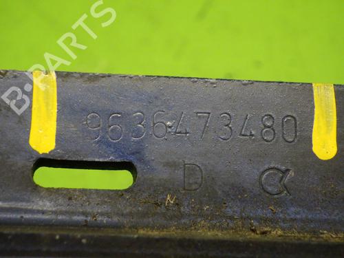 Hinge/Door check strap PEUGEOT 307 (3A/C) 2.0 HDi 110 | BP14743527C146 
