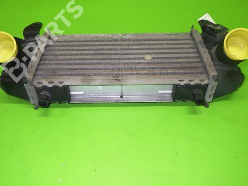Intercooler AUDI A2 (8Z0) 1.2 TDI | BP8005650M30 