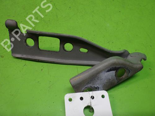 Hinge/Door check strap FORD FUSION (JU_) 1.4 | BP29872868C146