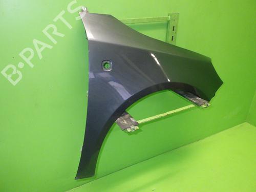 Right front fenders SKODA FABIA II (542) 1.2 TSI | BP28526661C42 