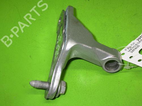 Hinge/Door check strap MERCEDES-BENZ A-CLASS (W169) A 180 CDI (169.007, 169.307) | BP14728089C146 