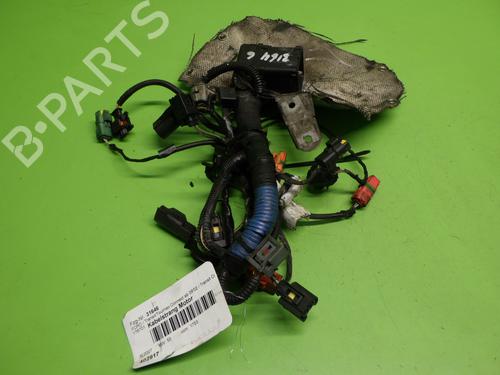 Ledningsnett FORD TRANSIT CONNECT (P65_, P70_, P80_) 1.8 Di (75 hp) 17306809