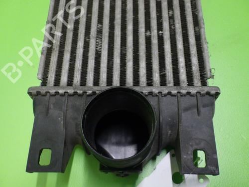 Intercooler RENAULT MASTER II Van (FD) 3.0 dCi 140 (FD0T, FD0S, FD2T, FD3S, FD8S) | BP31029612M30