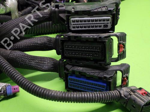 Wiring harness OPEL INSIGNIA A Sports Tourer (G09) 2.0 Turbo 4x4 (35) | BP14743280E16 