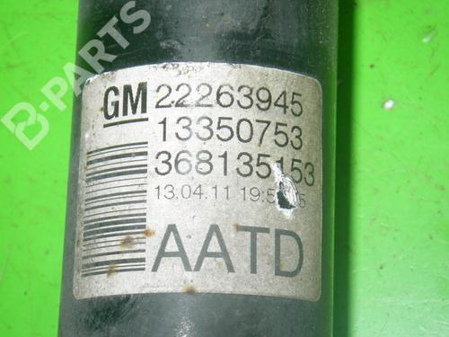 Right rear shock absorber OPEL MERIVA B MPV (S10) 1.4 (75) | BP6665900M19 