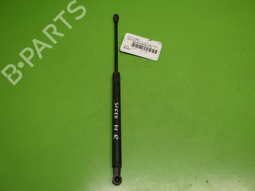 Used Tailgate lift support FIAT GRANDE PUNTO (199_) 1.4 (199AXB11, 199AXB1A, 199BXB1A, 199AXL1A) (77 hp) 17211162