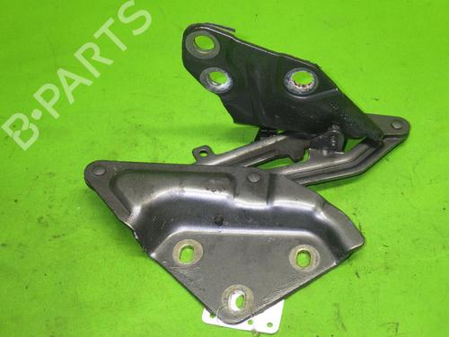Hinge/Door check strap VW TOUAREG (7LA, 7L6, 7L7) 3.0 V6 TDI | BP14727337C146 