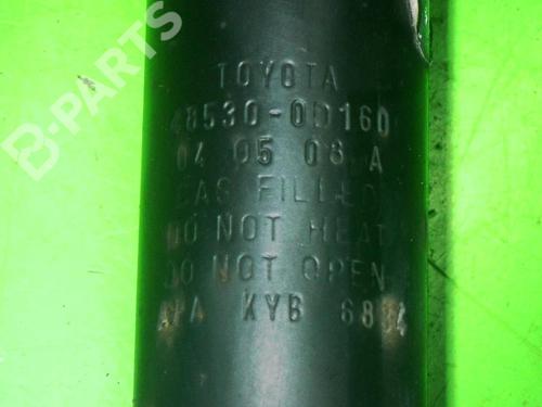 Left rear shock absorber TOYOTA YARIS (_P1_) 1.0 (SCP10_, SCP10R) | BP6650770M18 