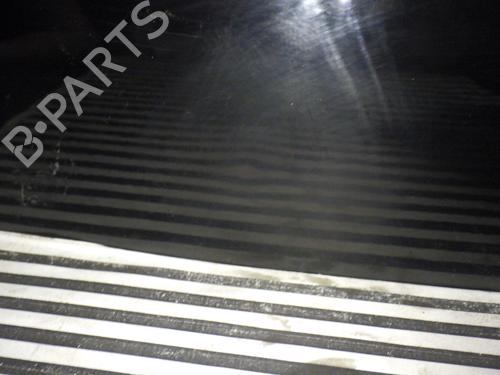 Right front door FIAT PUNTO (188_) 1.2 60 (188.030, .050, .130, .150, .230, .250) | BP6673506C3 