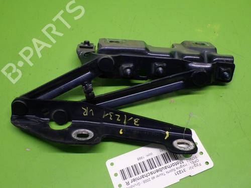 Hinge/Door check strap OPEL INSIGNIA A Sports Tourer (G09) 2.0 Turbo 4x4 (35) | BP20976773C146 