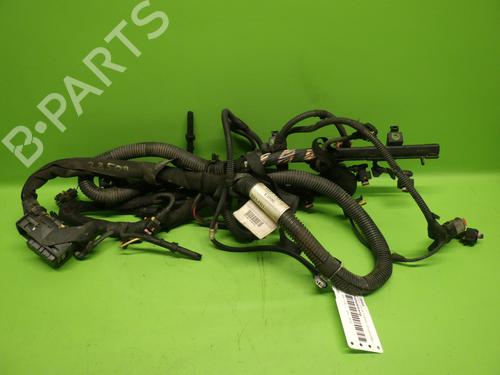Used Wiring harness Wiring harness OPEL VECTRA C (Z02) 1.9 CDTI (F69) (150 hp) 34387603 34387603