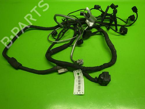 Ledningsnet VW PASSAT ALLTRACK B7 (365) 2.0 TDI (140 hp) 14731683