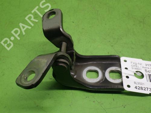Hinge/Door check strap OPEL ASTRA K (B16) 1.5 CRDI (68) | BP28206783C146 