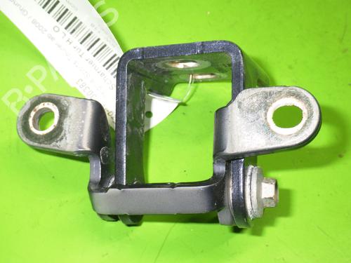 Hinge/Door check strap OPEL INSIGNIA A Sports Tourer (G09) 2.0 CDTI (35) | BP14733478C146 