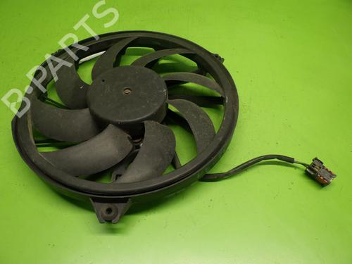 Used Electronic module PEUGEOT 206 CC (2D) 2.0 S16 (136 hp) 29016956