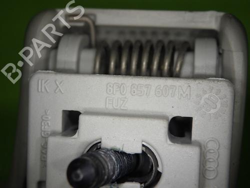 Håndtag i tag AUDI A6 C6 Avant (4F5) 2.7 TDI | BP32276450I35