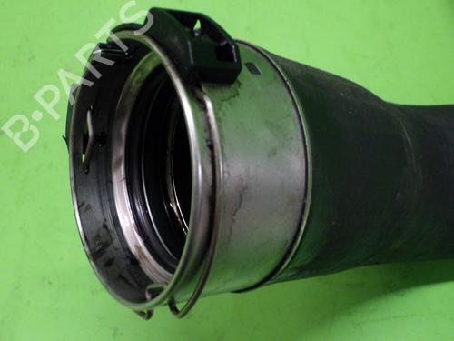 Pipe BMW 5 (F10) 520 d | BP18251331M125 