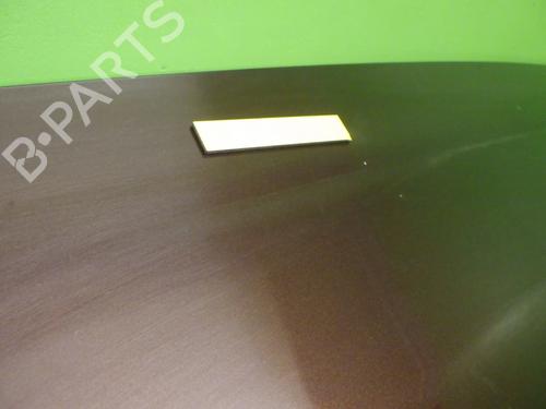 Tailgate DACIA SANDERO II TCe 90 LPG (B8M1) | BP38628014C6 - Image 3