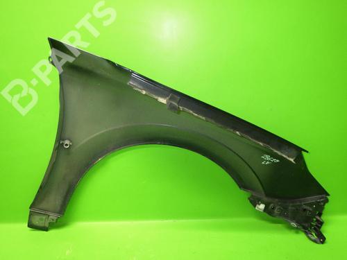 Left front fenders OPEL SIGNUM Hatchback (Z03) 1.9 CDTI (F48) | BP6663164C41 