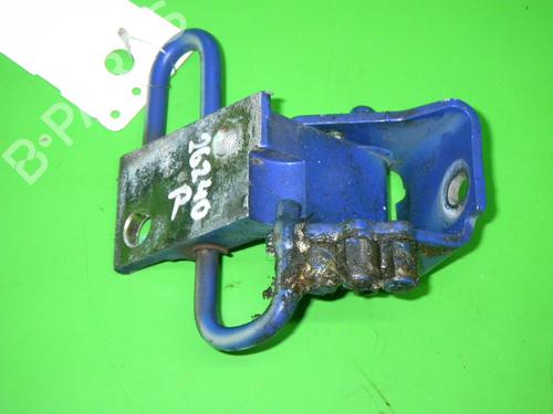 Hinge/Door check strap VW GOLF IV (1J1) 1.4 16V | BP14713685C146 