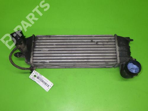 Intercooler LANCIA PHEDRA (179_) 2.2 JTD (179AXC1A) (128 hp) 6387041