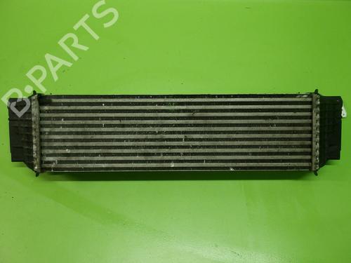 Intercooler BMW 5 Touring (F11) 530 d xDrive | BP31843067M30