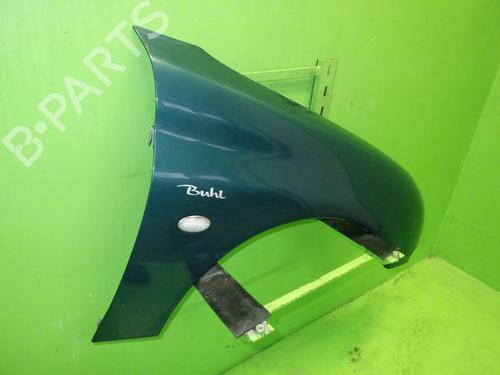 Right front fenders PEUGEOT 206 Hatchback (2A/C) 1.1 i | BP22185399C42 