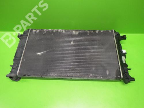 BP6380219M31 | Radiador agua VW CRAFTER 30-50 Platform/Chassis (2F_) 2.5 TDI BP6380219M31