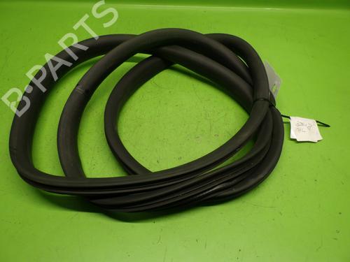 Gummiliste RENAULT ZOE (BFM_) ZOE (BFMC, BFMD) | BP29017175C142