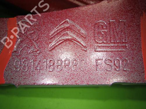 Hinge/Door check strap OPEL GRANDLAND / GRANDLAND X (A18, P1UO) 1.2 (75) | BP18248101C146 