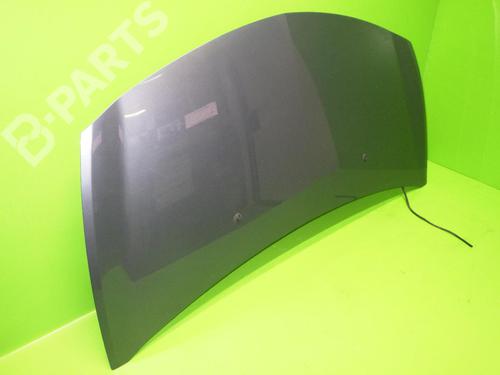 Hood RENAULT CLIO III (BR0/1, CR0/1) 1.5 dCi (BR1C, CR1C) | BP6391788C1 
