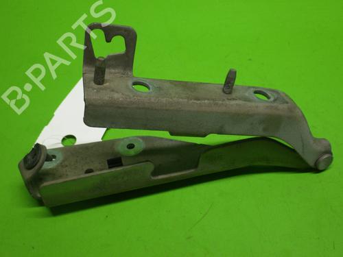 Hinge/Door check strap CITROËN C3 I (FC_, FN_) 1.4 HDi | BP14733547C146 