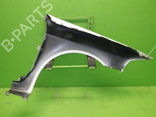 Left front fenders RENAULT LAGUNA II Grandtour (KG0/1_) 2.0 16V IDE (KG0N) | BP21496717C41 