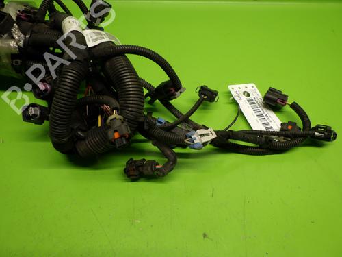 Wiring harness OPEL INSIGNIA A Sports Tourer (G09) 2.0 Turbo 4x4 (35) | BP14743280E16 