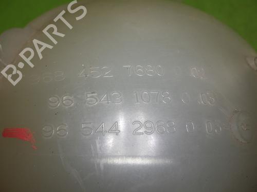 Expansion tank CITROËN BERLINGO MULTISPACE (B9) 1.6 HDi 75 / BlueHDi 75 | BP30047119C120