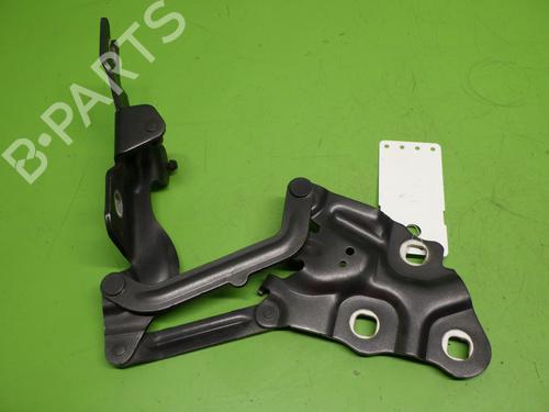 Used Hinge/Door check strap BMW X3 (F25) xDrive 20 d (184 hp) 25981508