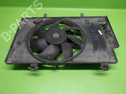 Elektronisk modul FORD TRANSIT COURIER B460 Box Body/MPV 1.6 TDCi (95 hp) 29017058
