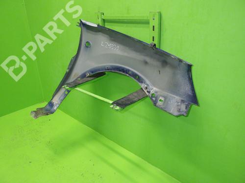 Left front fenders OPEL COMBO Box Body/MPV 1.7 CDTI 16V | BP10746808C41 