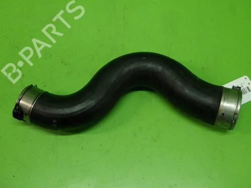 Pipe BMW 5 (F10) 520 d | BP18251332M125 