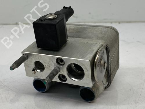 Wasserkühler VAUXHALL CORSA Mk V (F) CORSA-e | BP29691441M31