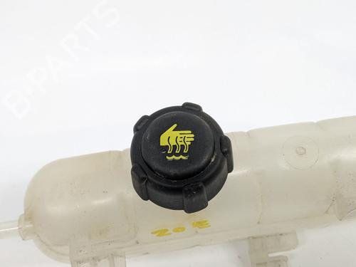 Ekspansjonstank RENAULT ZOE (BFM_) R110 | BP29691144C120 