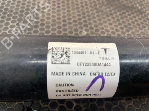 Venstre bagtil støddæmper TESLA MODEL 3 (5YJ3) EV | BP29694333M18